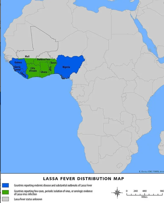 Iowa Resident Dies from Lassa Fever: Rare Virus Causes Hearing Loss